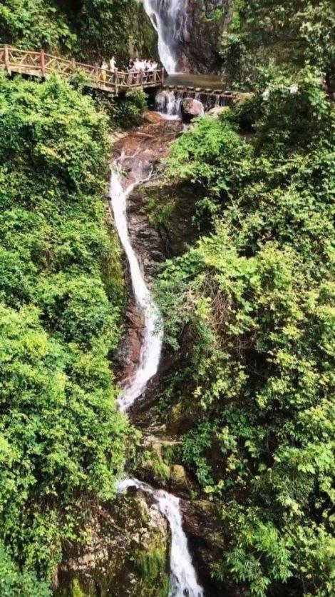 寻找5个差异