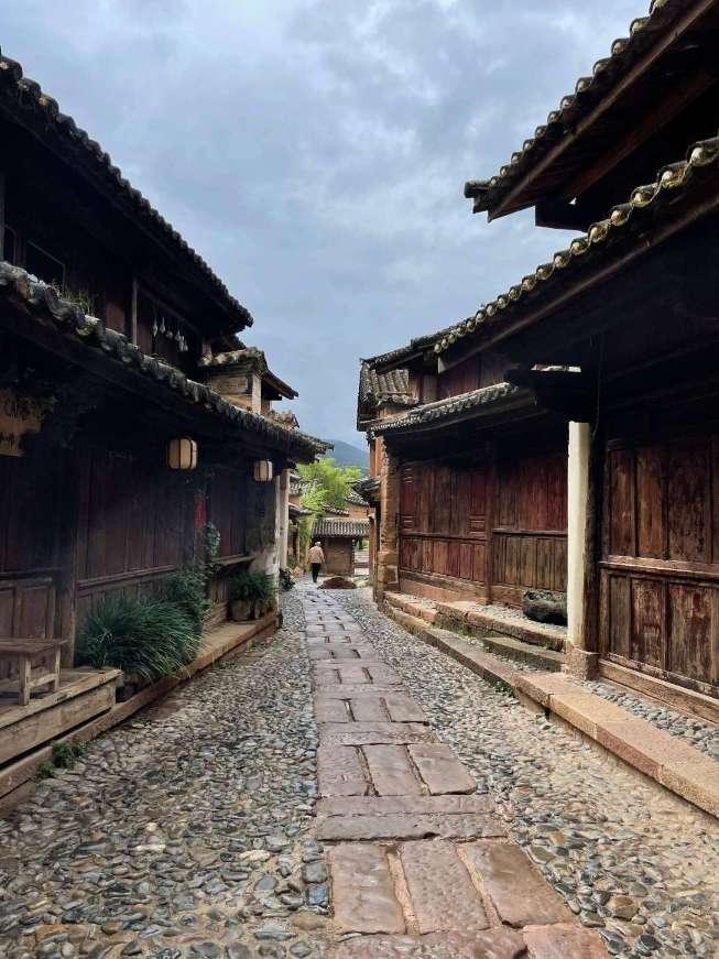 急速变色龙
